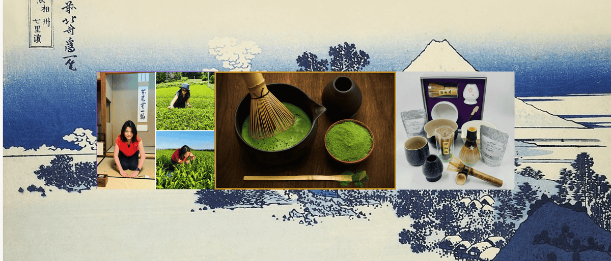 Newsletter: From Japan to Cincinnati - New Matcha, Fall Favorites & Holiday Surprises