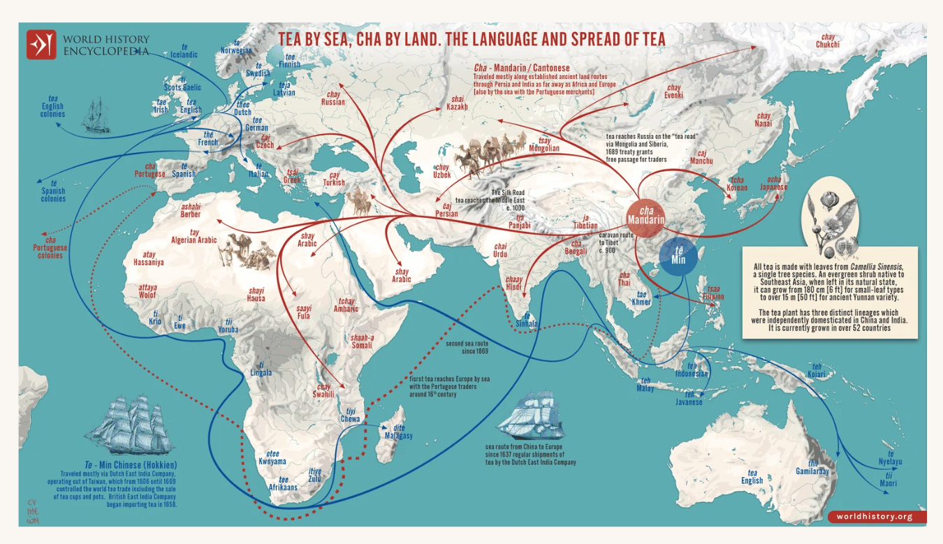 Chinese tea leaves traveling by sailing ship to colonial America showing global tea trade from China to Boston in 1773