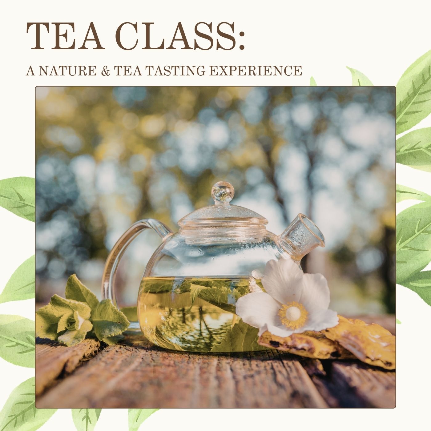 Wild Herbal Teas of Eastern Europe: A Nature & Tea Tasting Experience (July 19th, 2026)