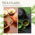 Green Tea Traditions: China & Japan (April 12, 2026)