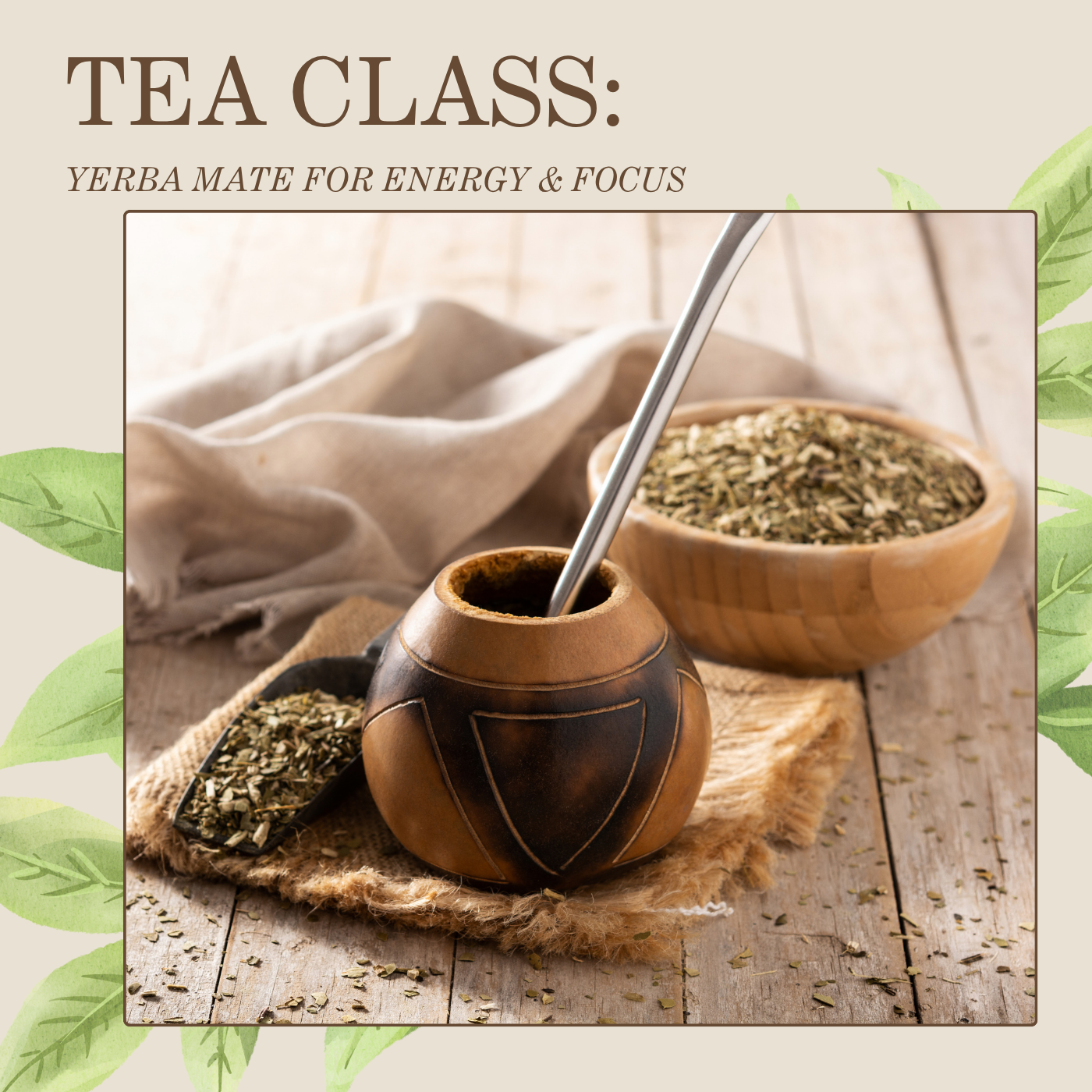 Holiday Hustle: Yerba Mate for Energy & Focus (Dec 14, 2025)