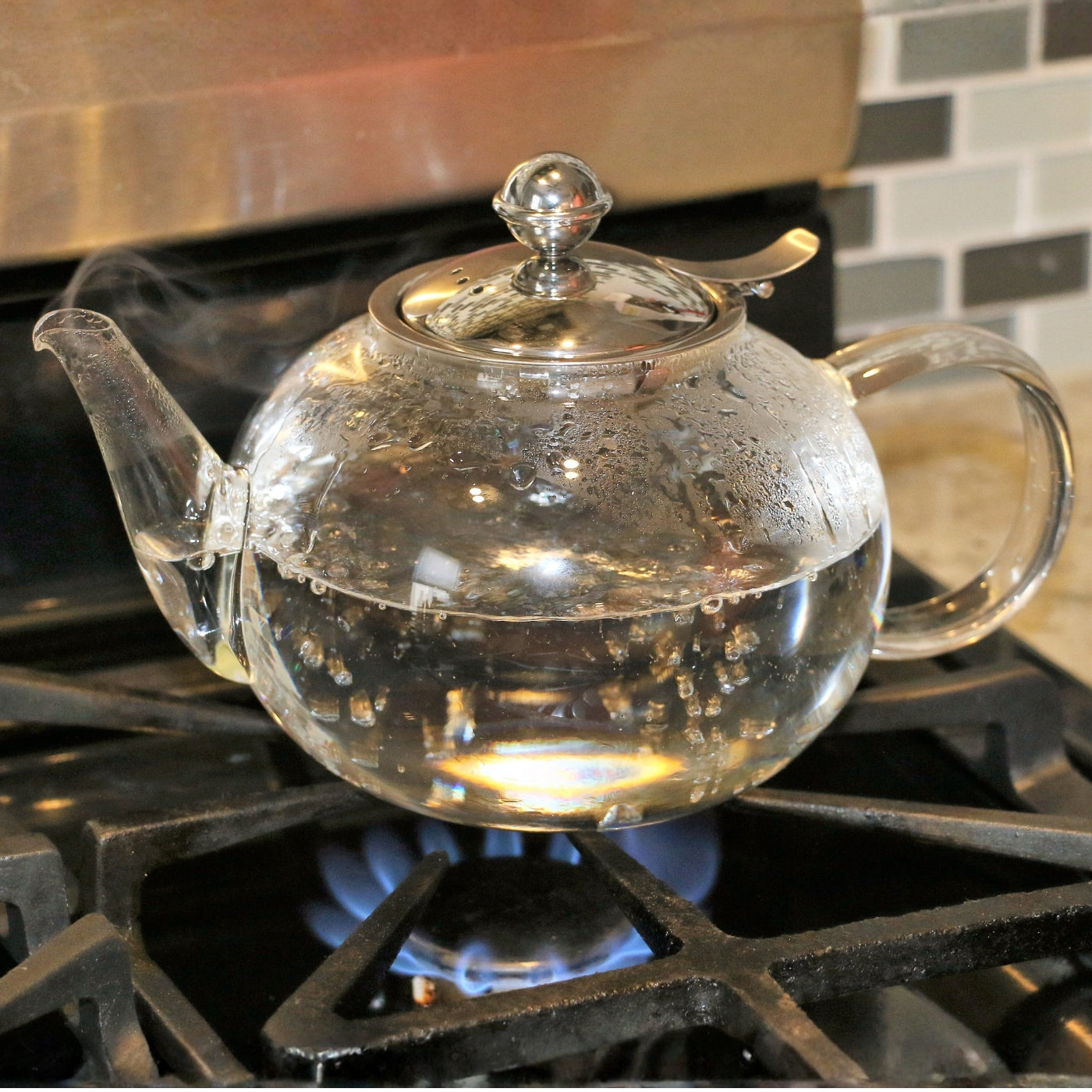 Borosilicate Glass Teapot with Infuser 20oz & 2 Glass Cups