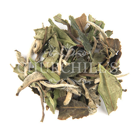Pai Mu Tan White Tea